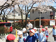 お花見散歩